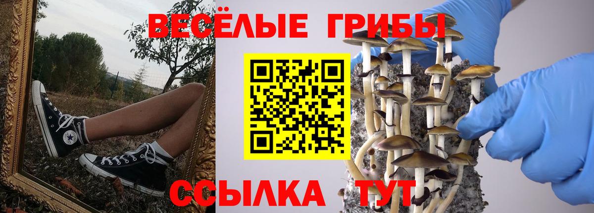 Кашира  Псилоцибиновые грибы GOLDEN TEACHER  Вход с VPN 