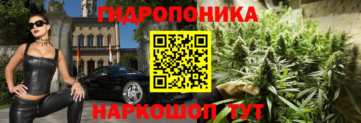 Бошки Шишки Bruce Banner  Вход с VPN  Кашира  Каннабис гибрид  Каннабис VHQ 